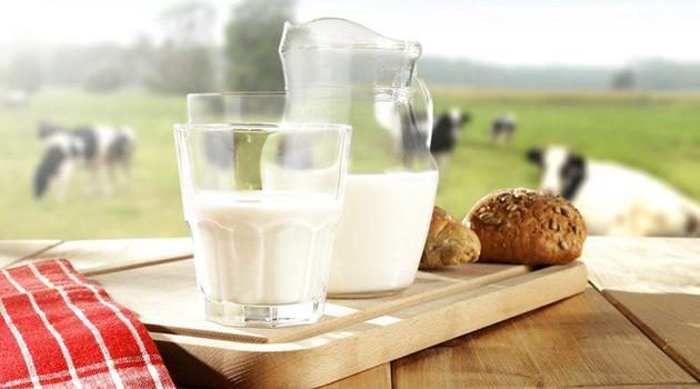 Những lợi ích tuyệt vời sữa bò cho sức khỏe hàng ngày của bạn